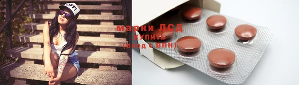 СК Алексин