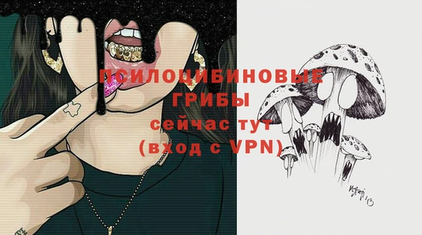 амф Алзамай
